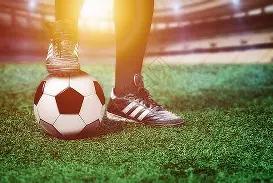 东南飞,文化盛宴,广东文化魅,开云体育,开云体育官网,开云体育app,开云体育平台,KAIYUN,SPORTS,kaiyun登录入口