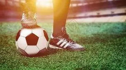 “东南飞”文化盛宴：广东文化魅力展现