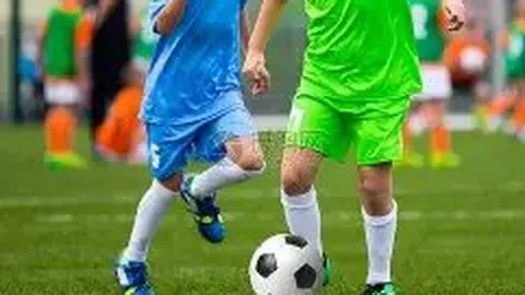 开云体育网址 产品 093613 sri