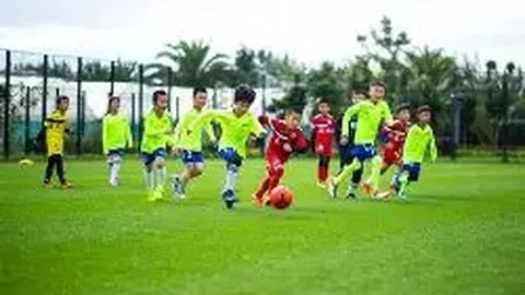 开云体育网址 资讯 110050 79i