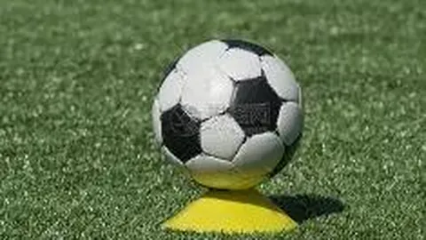 开云体育网址 产品 110745 d0g