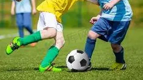 开云体育网址 资讯 110353 yg0