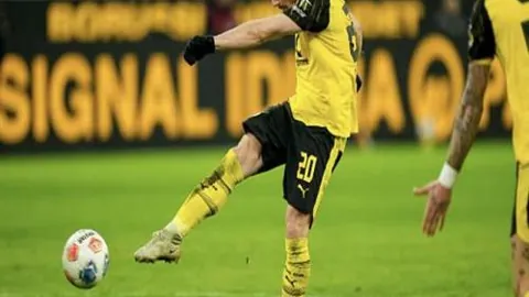 陈馨彤回归助阵，董铭霄爆发助力天津女排绝地反击